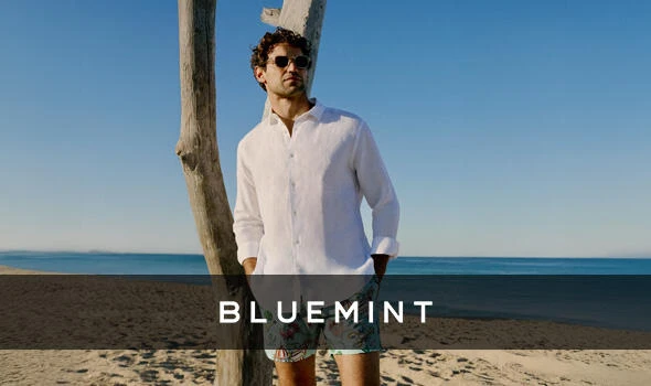 Bluemint