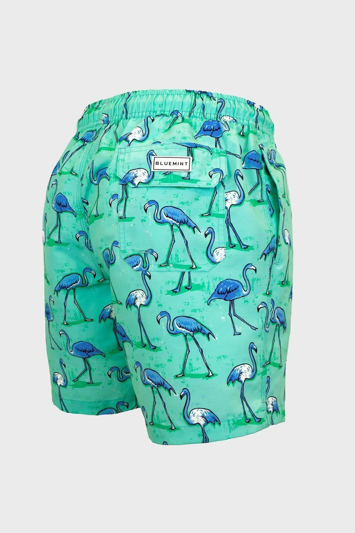 Bluemint Arthus Regular Fit Cepli Deniz Şortu Hızlı Kuruyan Erkek Mayo Short BM22003011MS 754 MİNT-MAVİ - 4