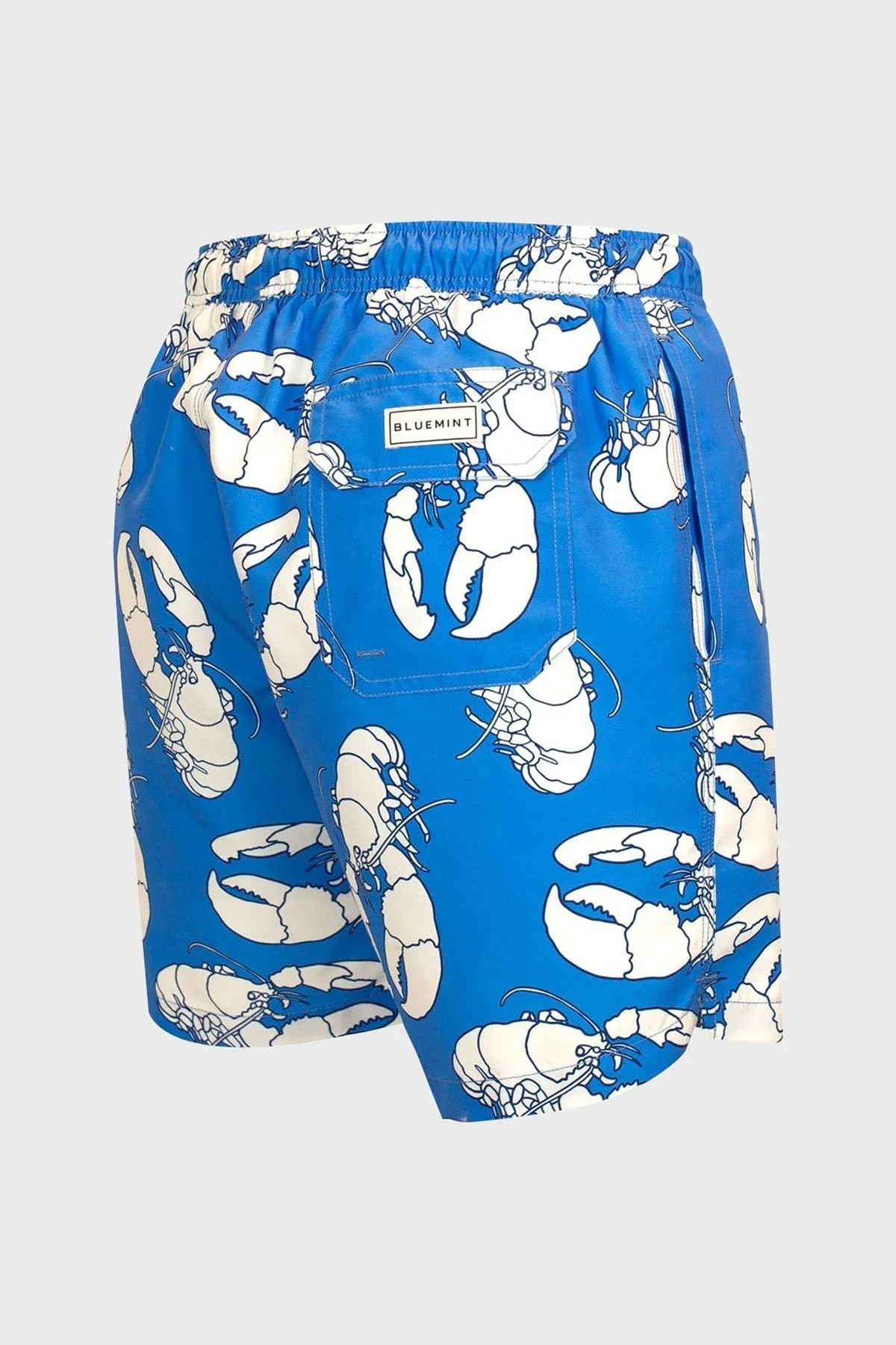 Bluemint Arthus Regular Fit Deniz Şortu Hızlı Kuruyan Erkek Mayo Short BM23003011MS 888 MAVİ-BEYAZ - 4