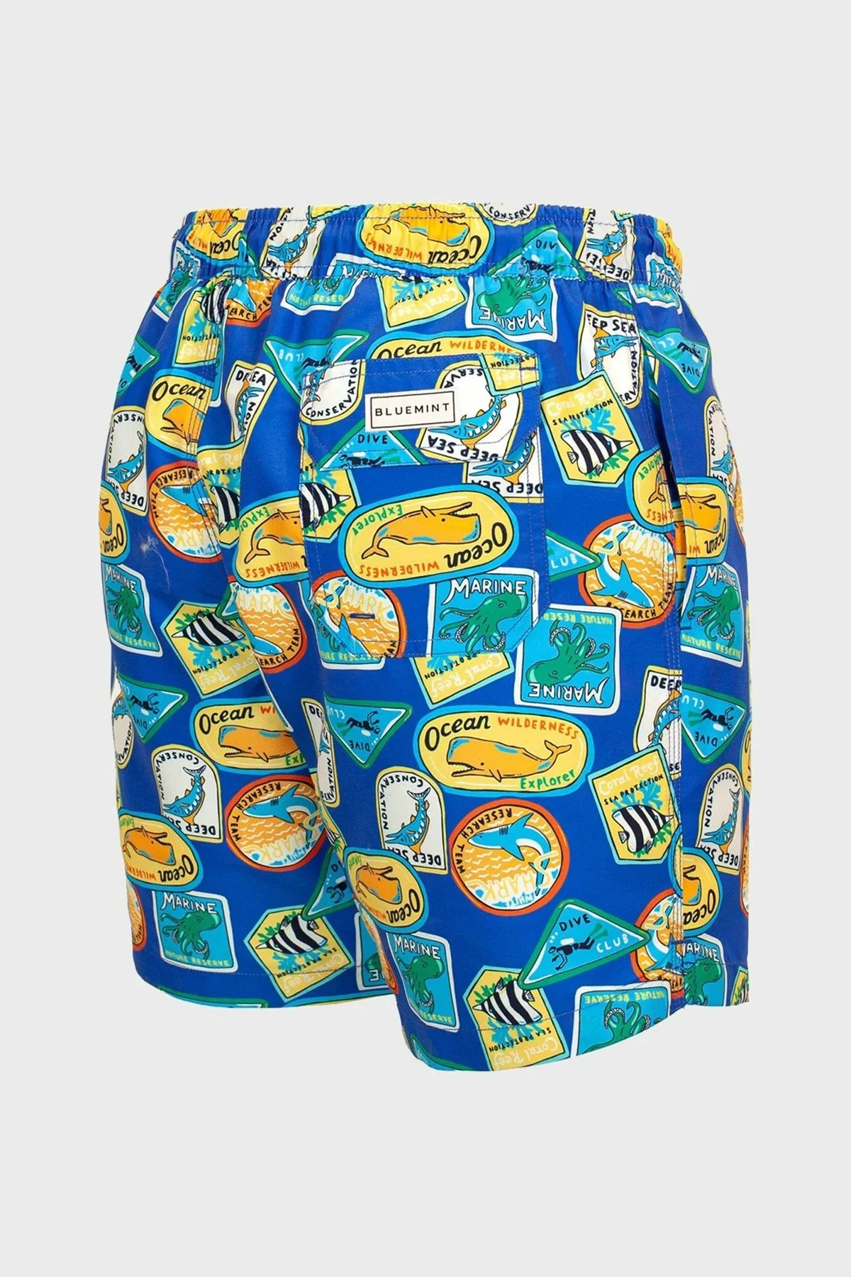 Bluemint Arthus Regular Fit Deniz Şortu Hızlı Kuruyan Erkek Mayo Short BM23003011MS 889 MAVİ-SARI - 4