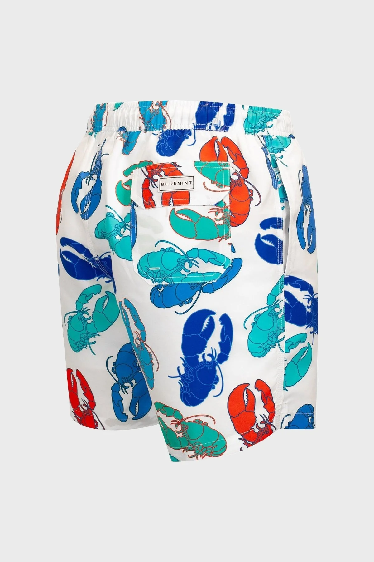 Bluemint Arthus Regular Fit Deniz Şortu Hızlı Kuruyan Erkek Mayo Short BM23003011MS 902 BEYAZ-MAVİ - 4