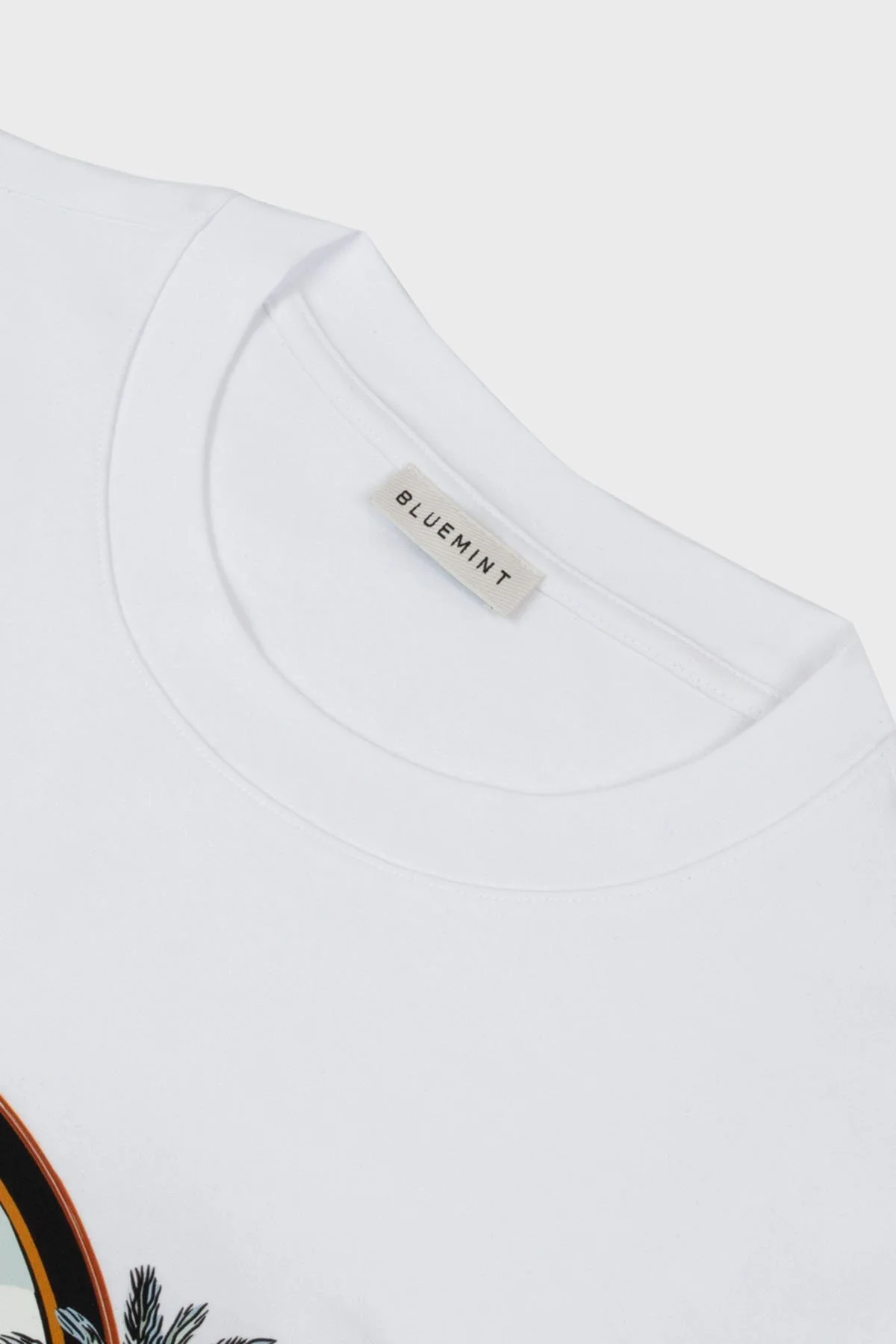 Bluemint Baskılı % 100 Pamuk Relaxed Fit Bisiklet Yaka Erkek T Shirt BM25001568MS 1203 BEYAZ - 3