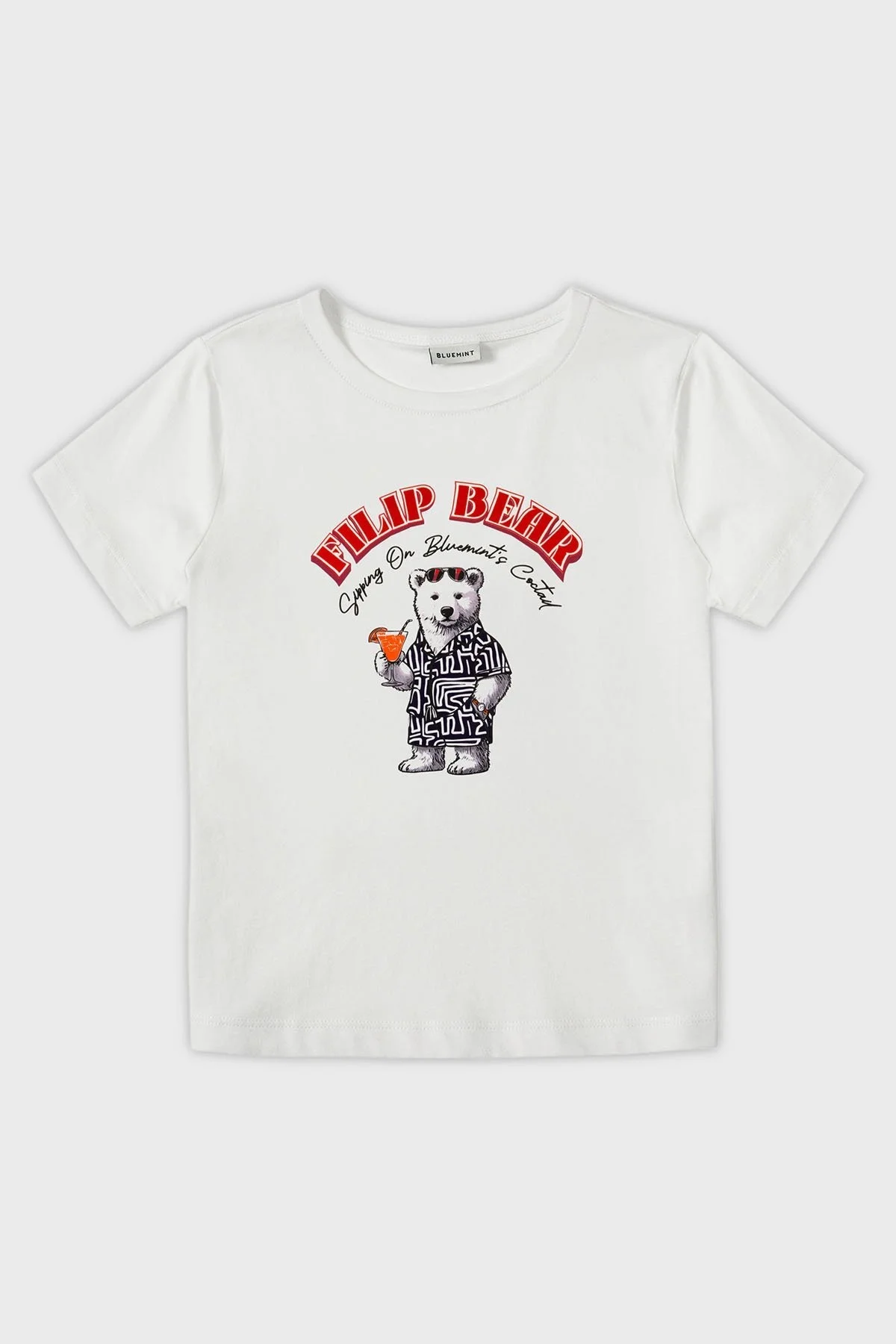 Bluemint Baskılı % 100 Pamuk Relaxed Fit Bisiklet Yaka Erkek T Shirt BM25001568MS1 212 BEYAZ - 1