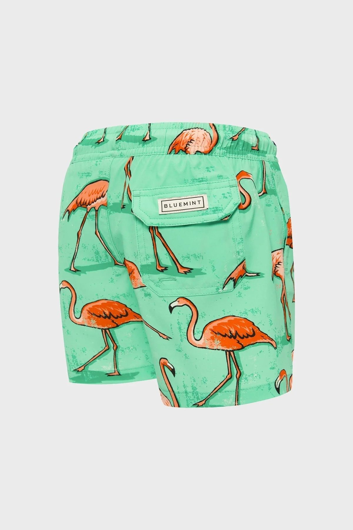 Bluemint Cepli Deniz Şortu Hızlı Kuruyan Çocuk Mayo Short BM24008167BS 1053 MİNT - 2