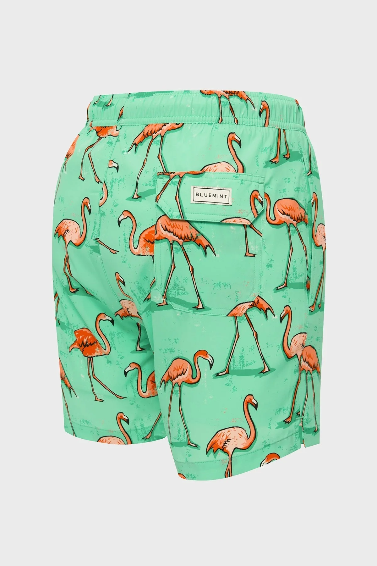 Bluemint Cepli Deniz Şortu Hızlı Kuruyan Erkek Mayo Short BM24003131MS 1053 MİNT - 3