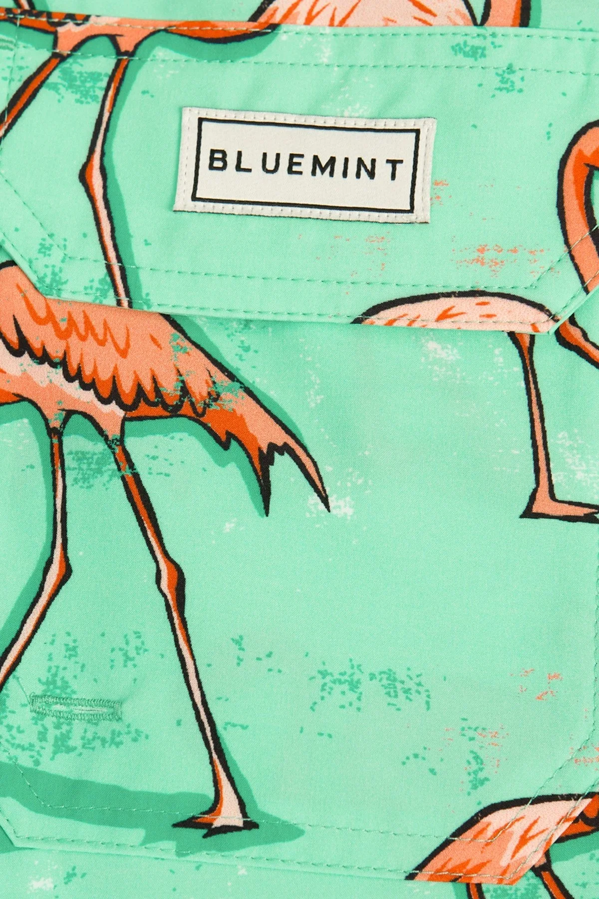 Bluemint Cepli Deniz Şortu Hızlı Kuruyan Erkek Mayo Short BM24003131MS 1053 MİNT - 5