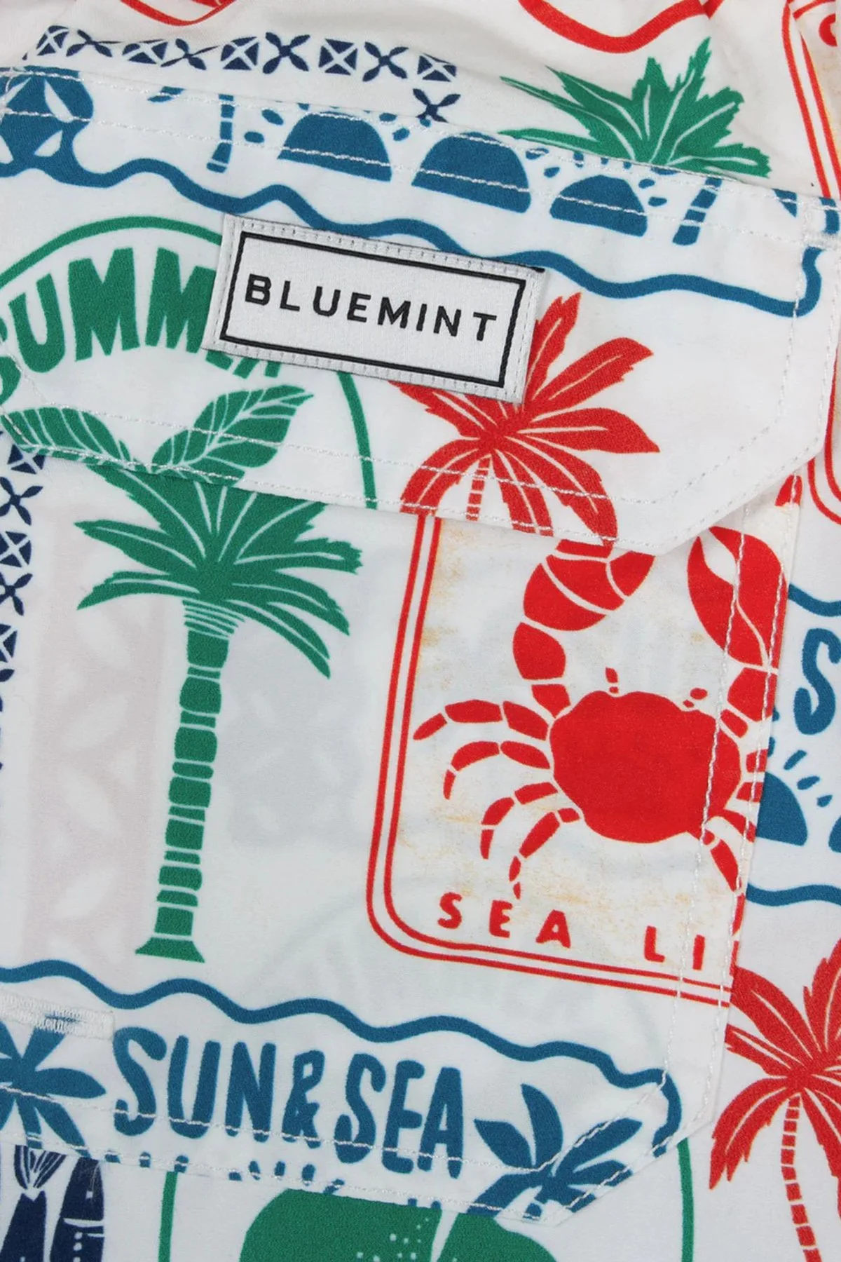 Bluemint Desenli Hızlı Kuruyan Erkek Deniz Şortu ARTHUS1 284 ÇOK RENKLİ - 6