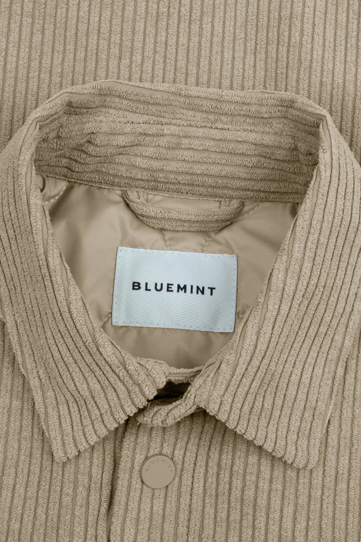 Bluemint Kadife Rahat Kalıp Çıtçıt Düğmeli Erkek Gömlek CHESTER 316 Bej - 4