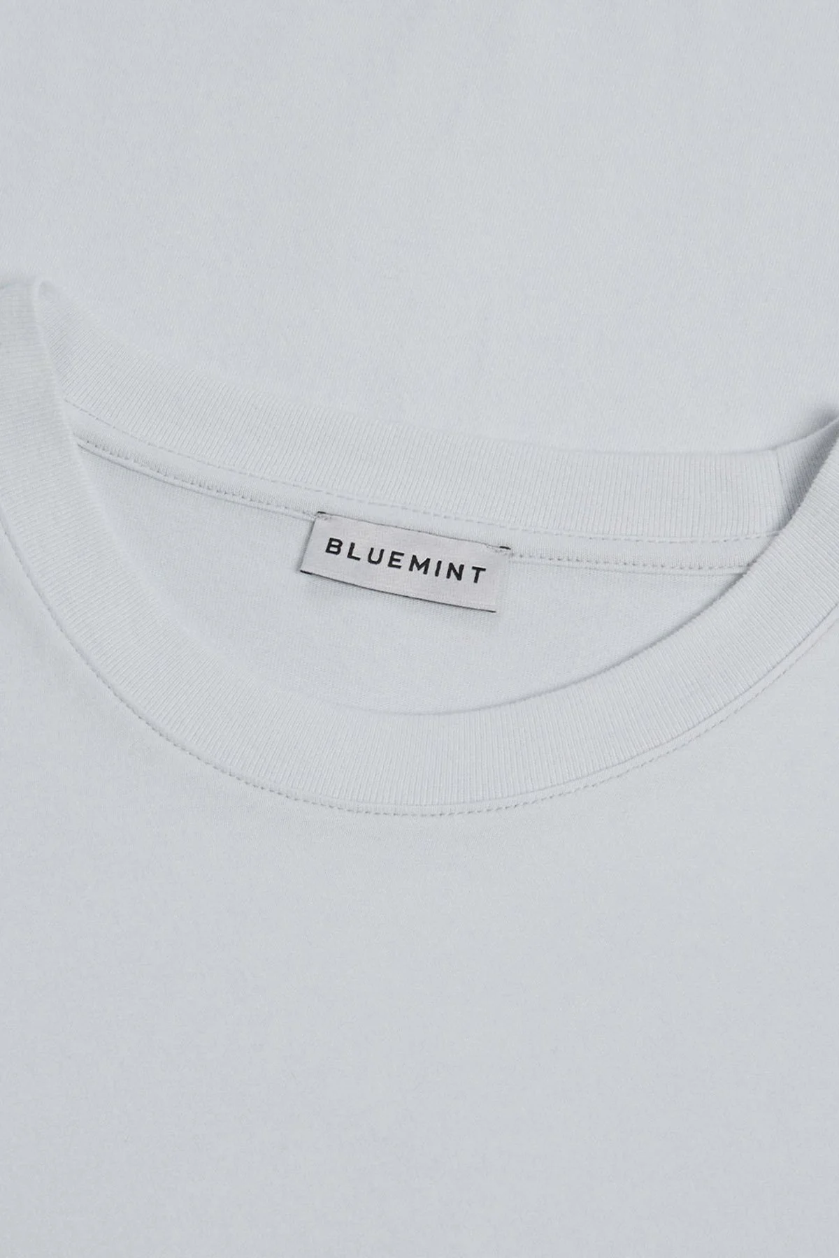 Bluemint William Brushed % 100 Pamuk Comfort Fit Bisiklet Yaka Erkek T Shirt BM24001389MW 630 MİNT - 2