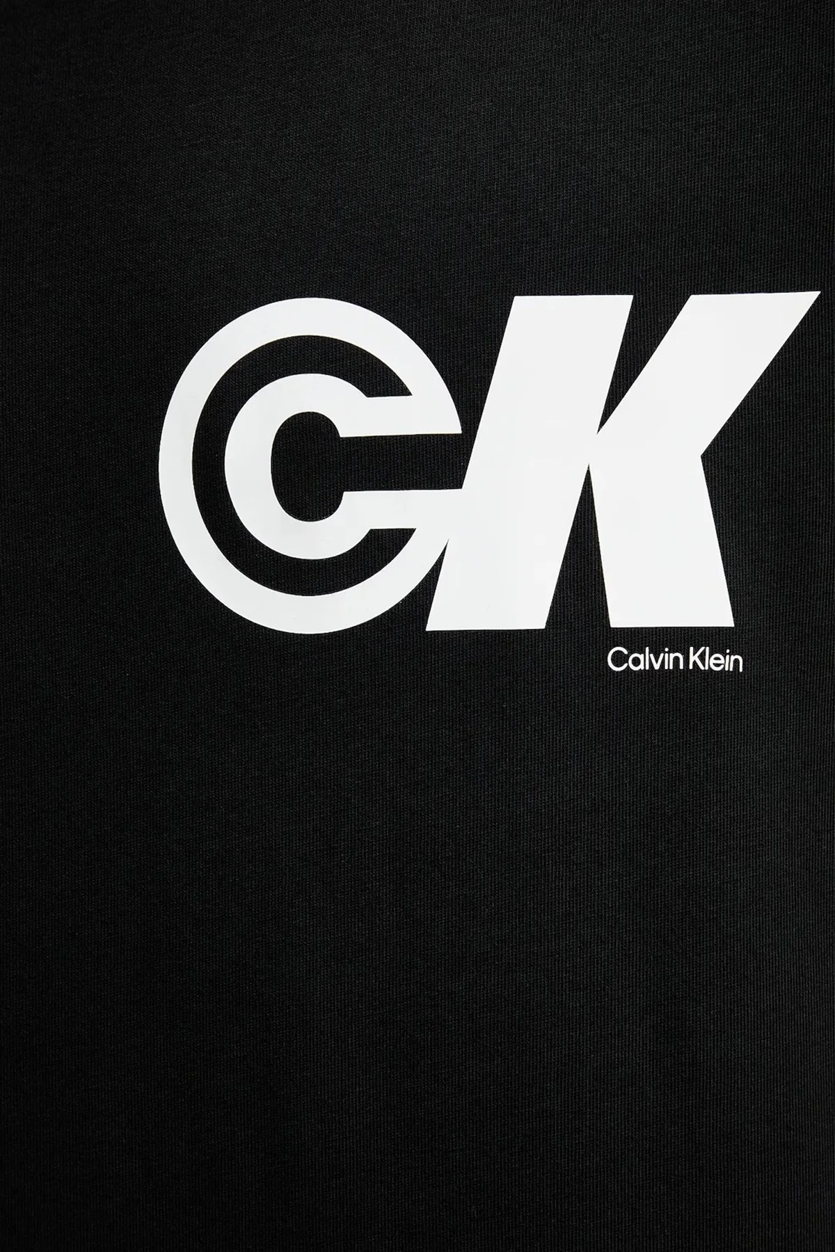 Calvin Klein Logo Baskılı Pamuklu Relaxed Fit Bisiklet Yaka LV04RC835GUB1 Erkek T Shirt LV04RC835G UB1 SİYAH - 5