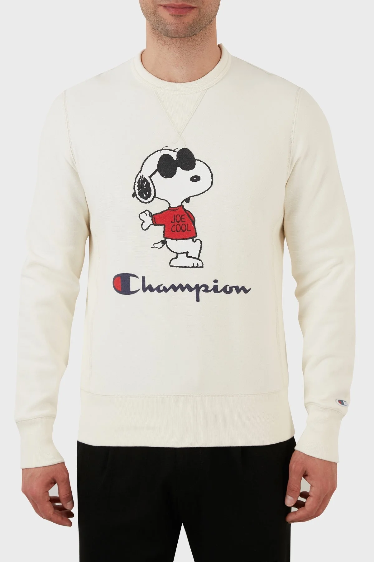 Champion Baskılı Regular Fit Bisiklet Yaka % 100 Pamuk Erkek Sweat 217798 ALAB ASTER BEJ - 1