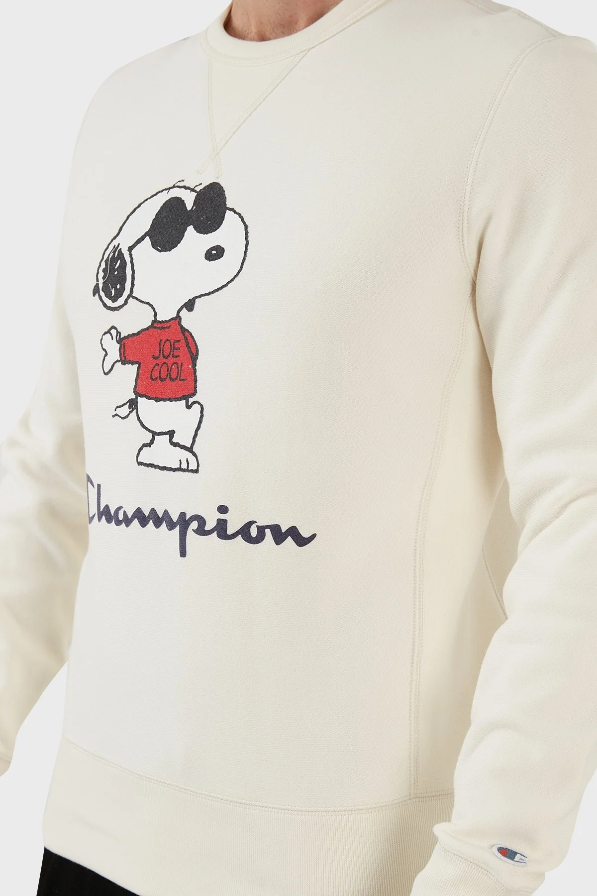 Champion Baskılı Regular Fit Bisiklet Yaka % 100 Pamuk Erkek Sweat 217798 ALAB ASTER BEJ - 6