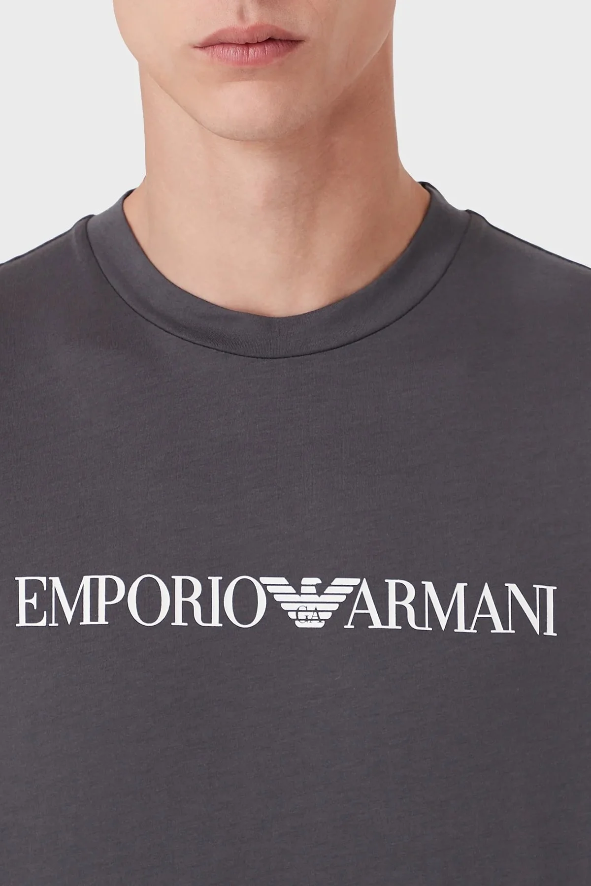 Emporio Armani Pamuklu Baskılı Regular Fit Bisiklet Yaka Erkek T Shirt 8N1TN5 1JPZZ 0685 FÜME - 4