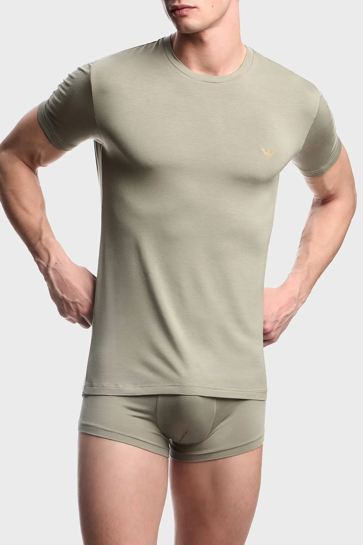 Emporio Armani Slim Fit Bisiklet Yaka Logolu 2 Pack Erkek T Shirt EM001849 AF10787 M7003 SİYAH-HAKİ - 5