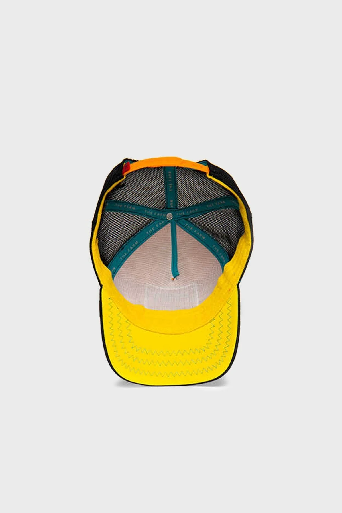 Goorin Bros Baby Im a Deniz Yıldızı Figürlü Unisex Şapka 1010166 ORANJ - 5