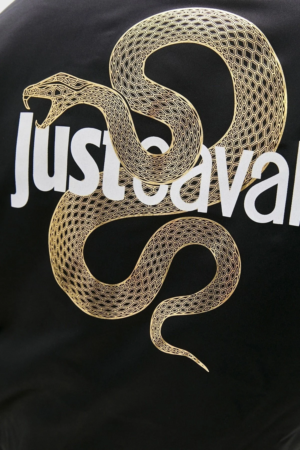 Just Cavalli Fermuarlı Regular Fit Kolej Yaka Bomber Erkek Mont S01AM0351 N39198 900 SİYAH - 5