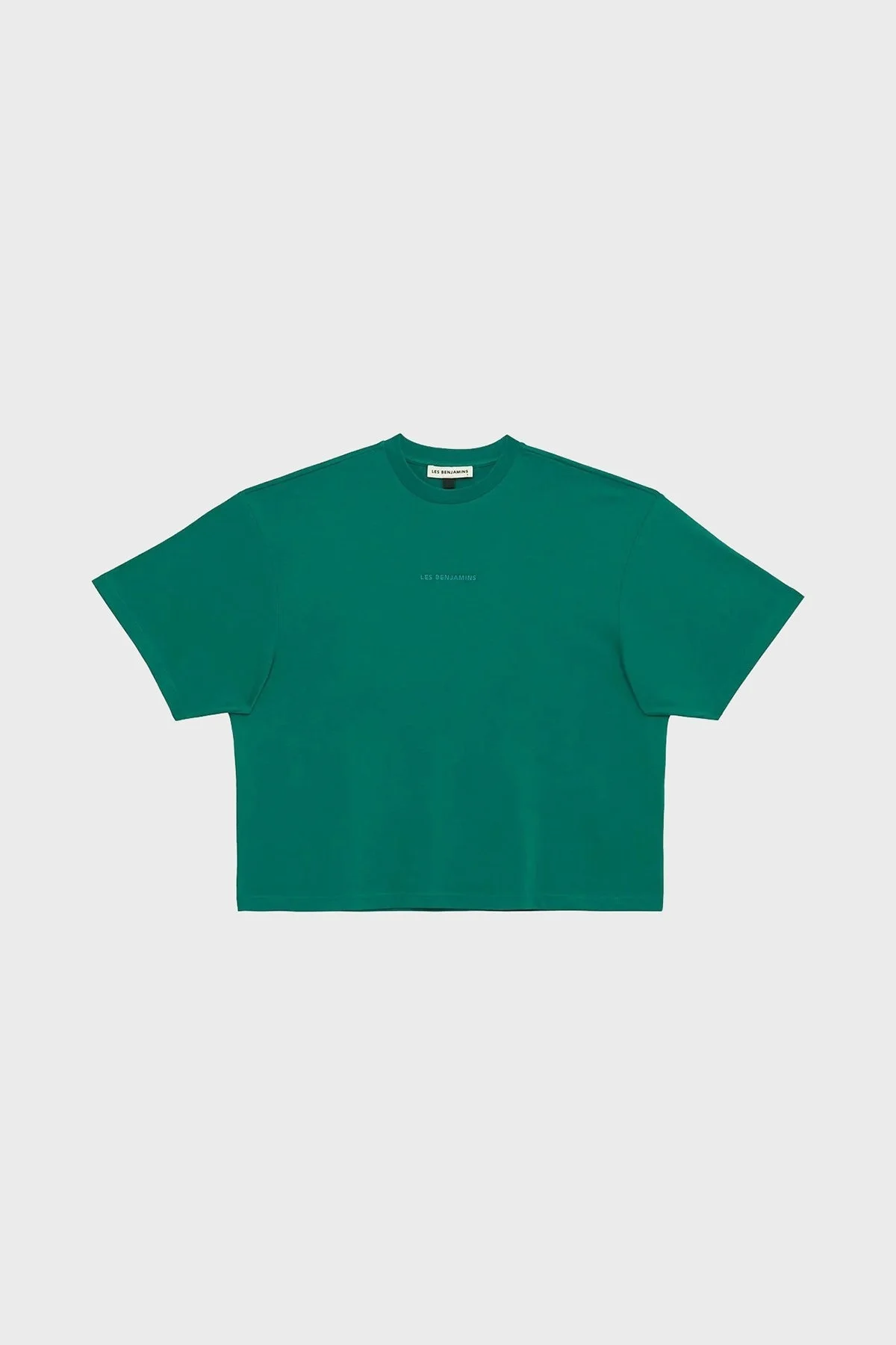 Les Benjamins % 100 Pamuk Oversize Bisiklet Yaka Cropped Bayan T Shirt LB23SSESSFUOT-301 YEŞİL - 6