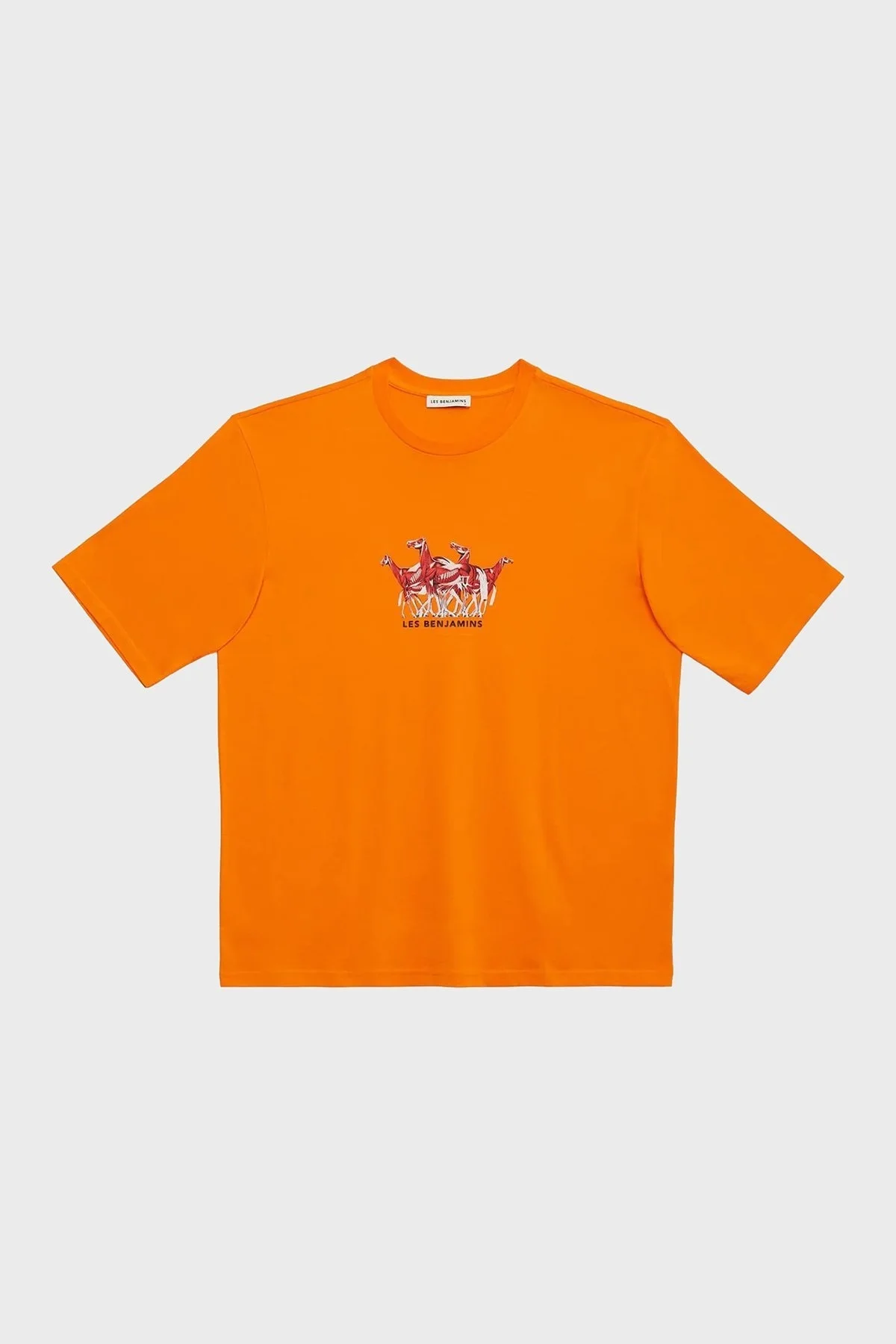 Les Benjamins % 100 Pamuk Oversize Fit Bisiklet Yaka Erkek T Shirt LB23SSHOEMUOT-006 YEŞİL - 5