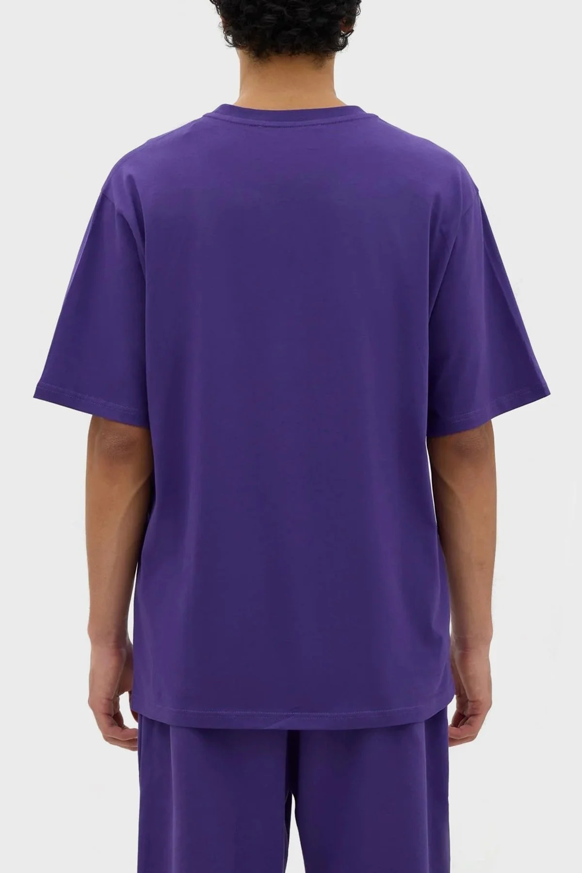 Les Benjamins Bisiklet Yaka % 100 Pamuk Regular Fit Erkek T Shirt LB23FWESSMUTS-305 MOR - 2