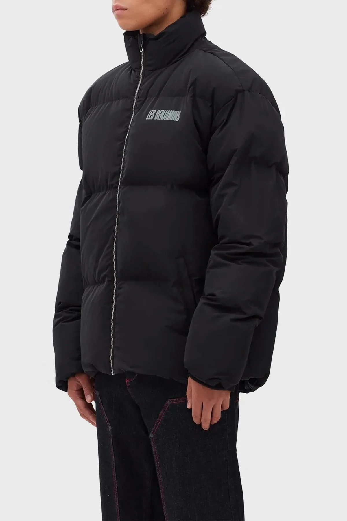 Les Benjamins Logolu Regular Fit Dik Yaka Erkek Mont LB22FWGASMUCA-004 SİYAH - 2