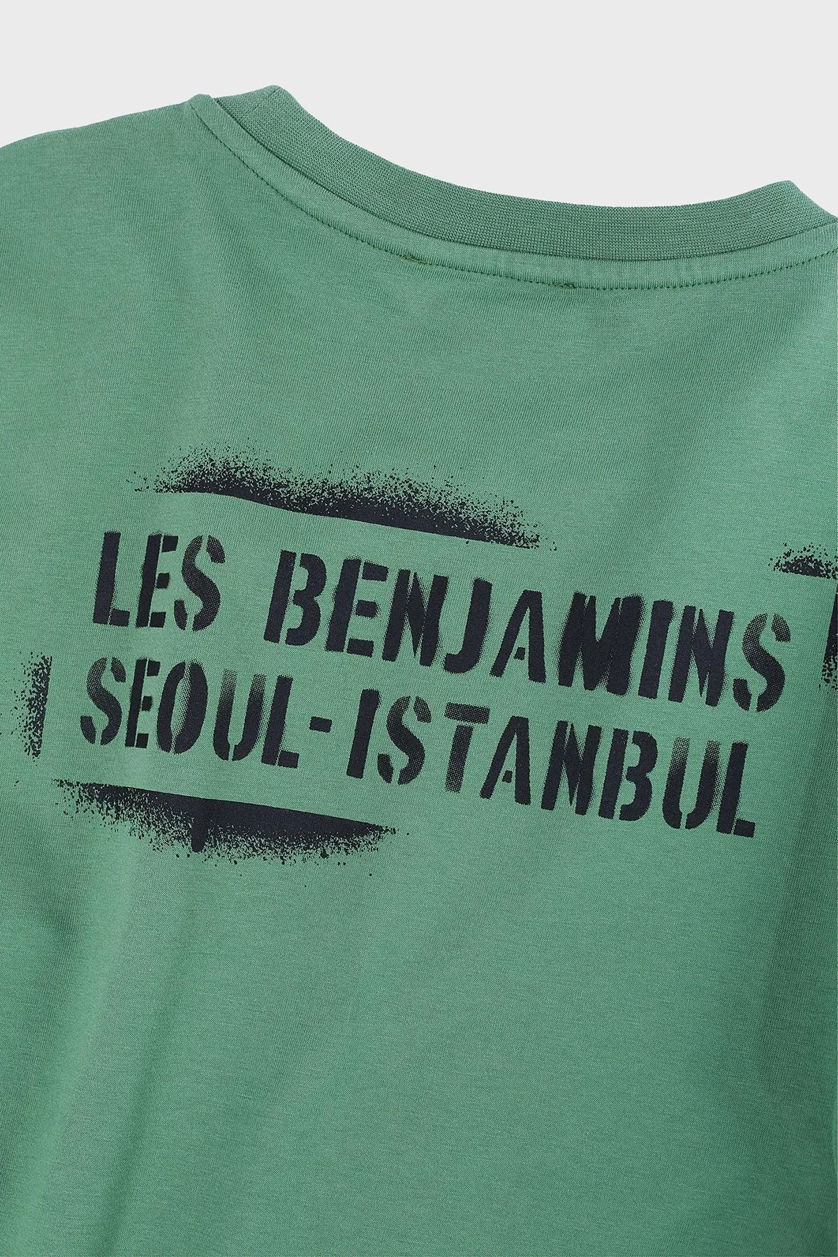 Les Benjamins Ön ve Arka Baskılı % 100 Pamuk Boxy Fit Bayan T Shirt LB25SSUNLFUTS-013 YEŞİL - 4