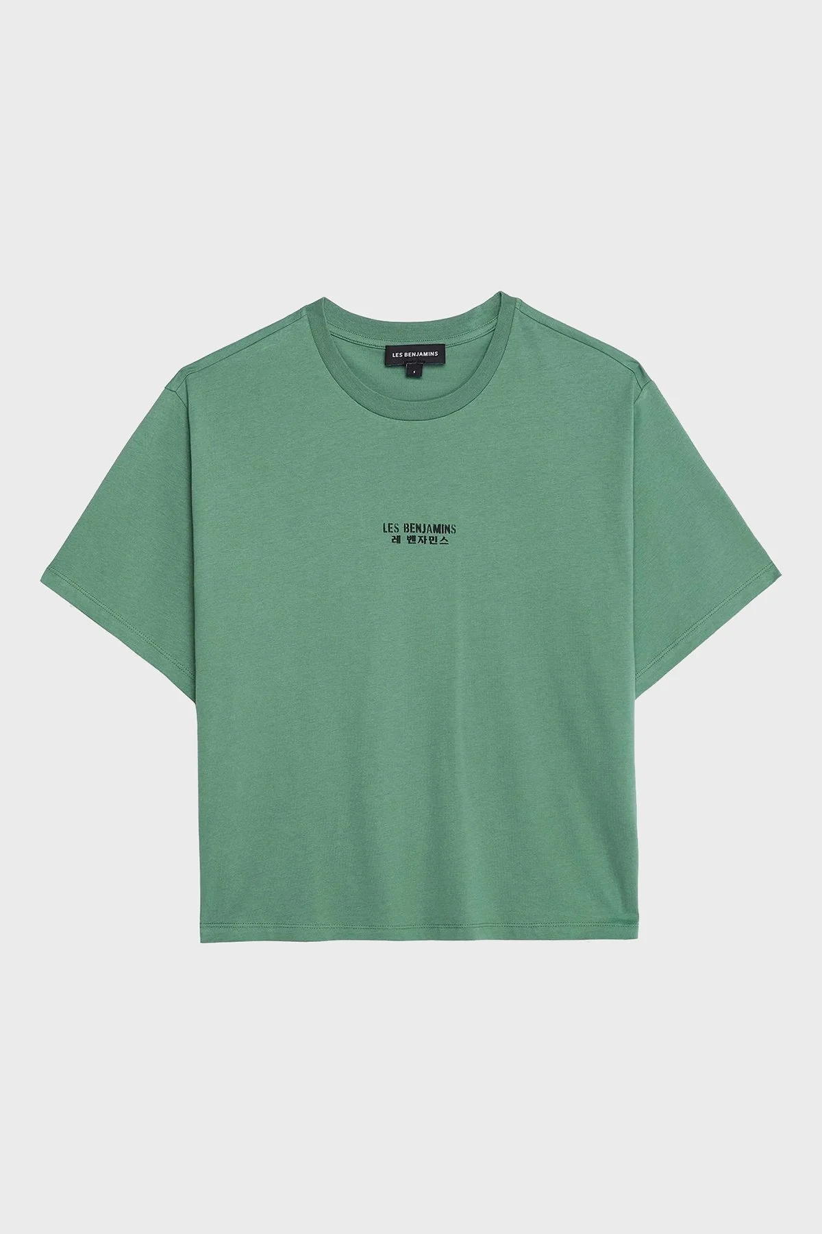 Les Benjamins Ön ve Arka Baskılı % 100 Pamuk Boxy Fit Bayan T Shirt LB25SSUNLFUTS-013 YEŞİL - 5