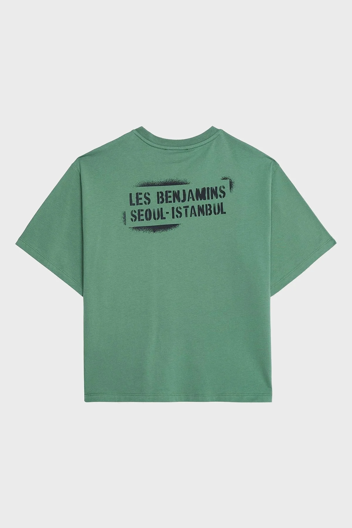 Les Benjamins Ön ve Arka Baskılı % 100 Pamuk Boxy Fit Bayan T Shirt LB25SSUNLFUTS-013 YEŞİL - 6