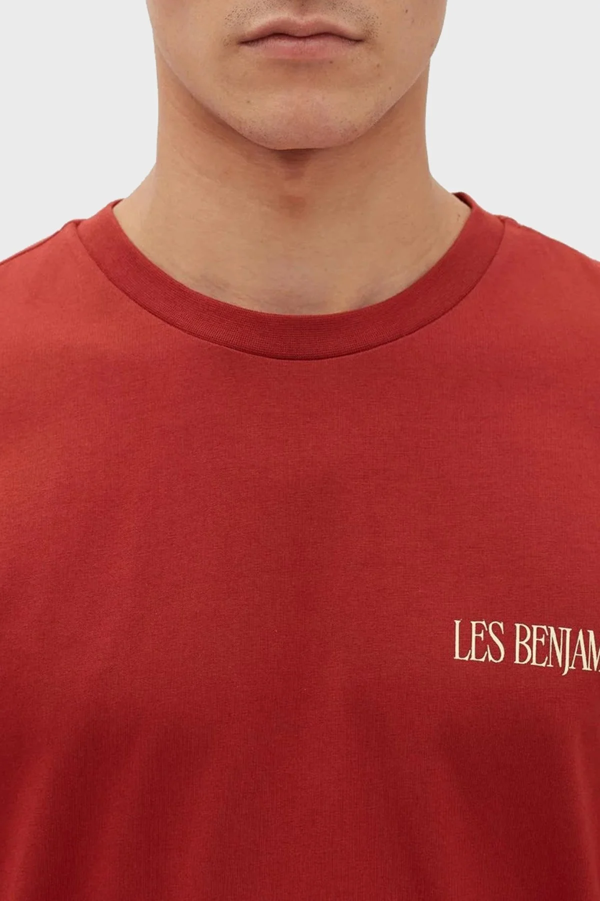 Les Benjamins Pamuklu Baskılı Oversize Erkek T Shirt LB23FWFRWMUTS-001 KİREMİT - 5