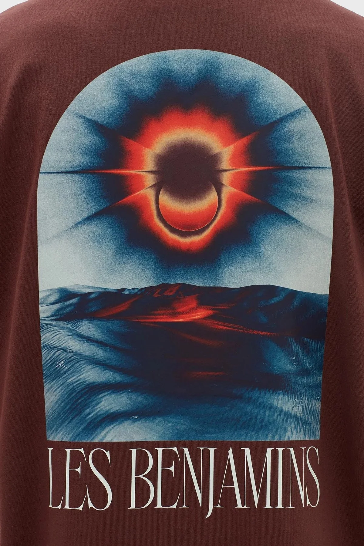 Les Benjamins Pamuklu Baskılı Oversize Erkek T Shirt LB23FWFRWMUTS-008 KAHVE - 6