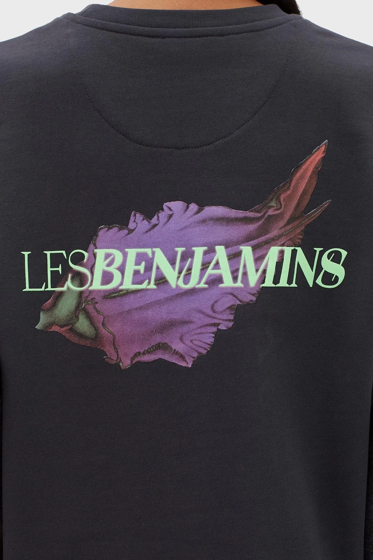 Les Benjamins Pamuklu Baskılı Regular Fit Bayan Sweat LB23FWFRWFUSW-008 ANTRASİT - 6