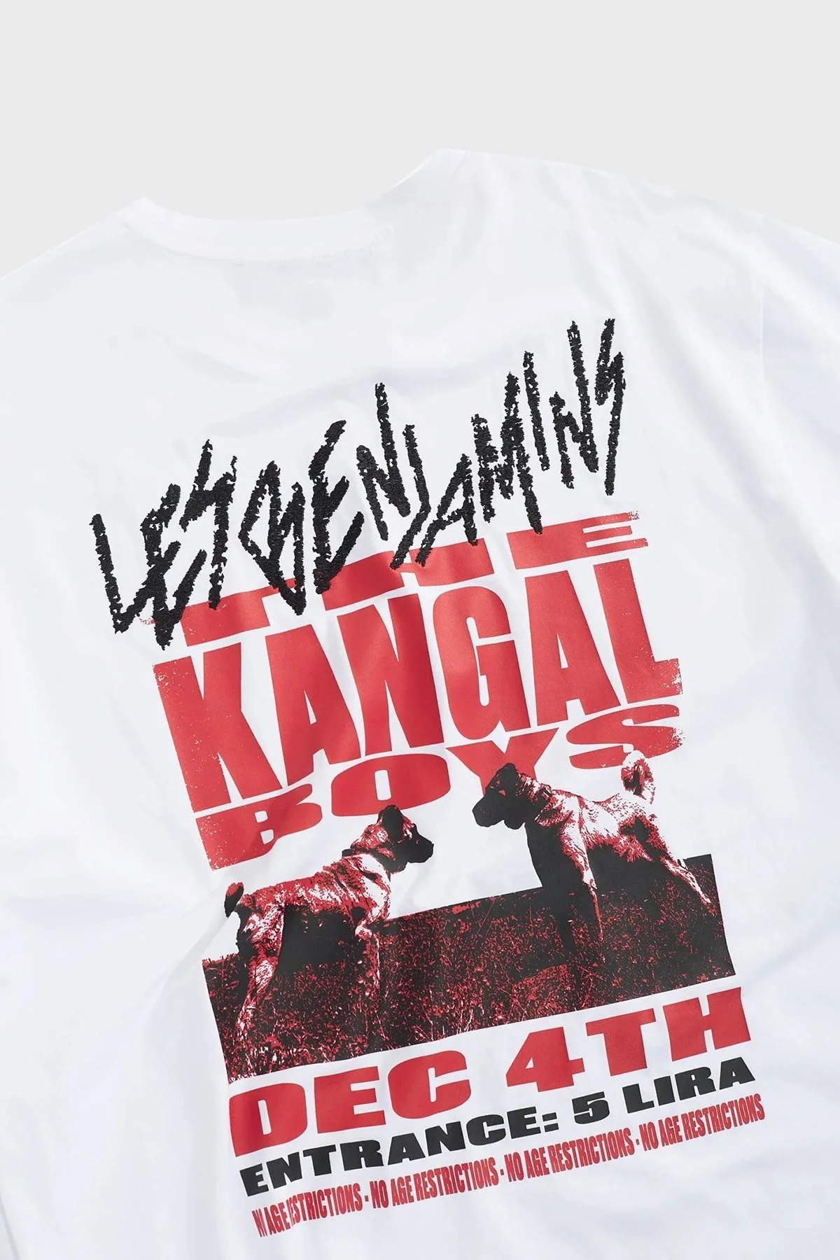 Les Benjamins Pamuklu Relaxed Fit Bisiklet Yaka Erkek T Shirt LB24FWEAPMUTS-044 BEYAZ - 6