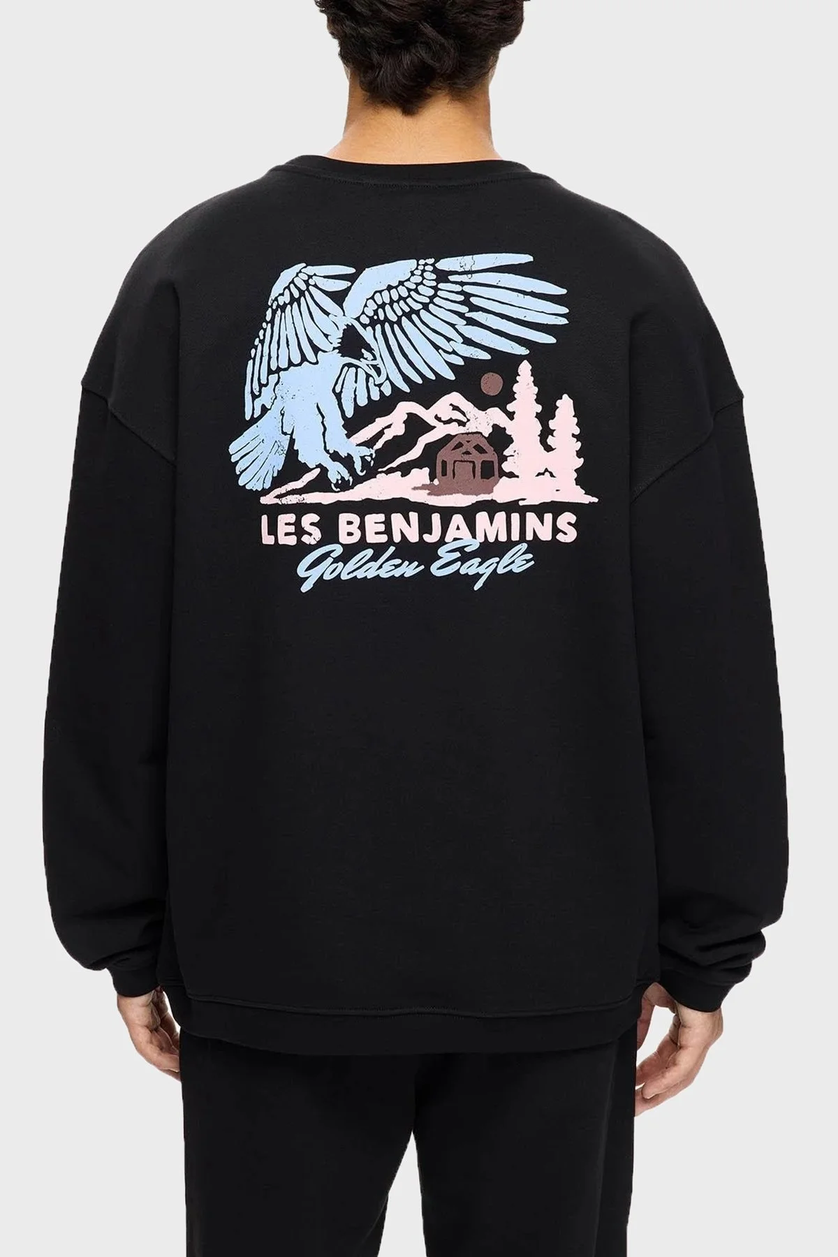 Les Benjamins Sırt Baskılı Pamuklu Relaxed Fit Bisiklet Yaka Erkek Sweat LB25FWTURMUSW-005 SİYAH - 3