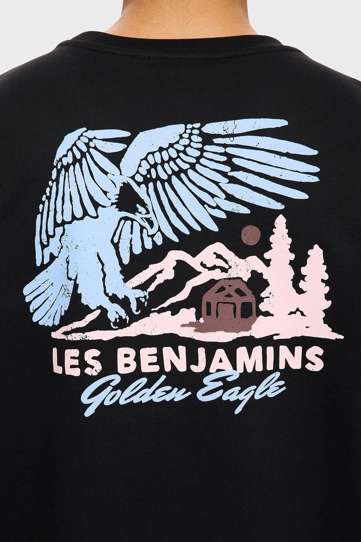 Les Benjamins Sırt Baskılı Pamuklu Relaxed Fit Bisiklet Yaka Erkek Sweat LB25FWTURMUSW-005 SİYAH - 5