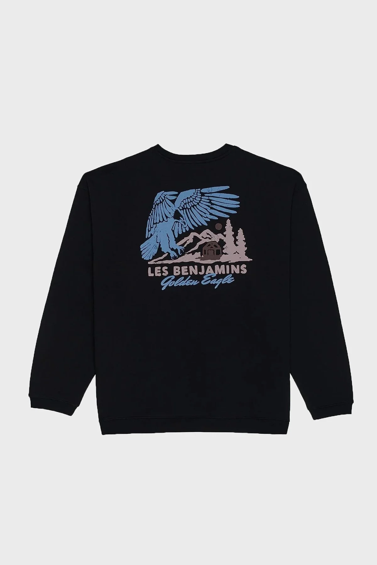 Les Benjamins Sırt Baskılı Pamuklu Relaxed Fit Bisiklet Yaka Erkek Sweat LB25FWTURMUSW-005 SİYAH - 7