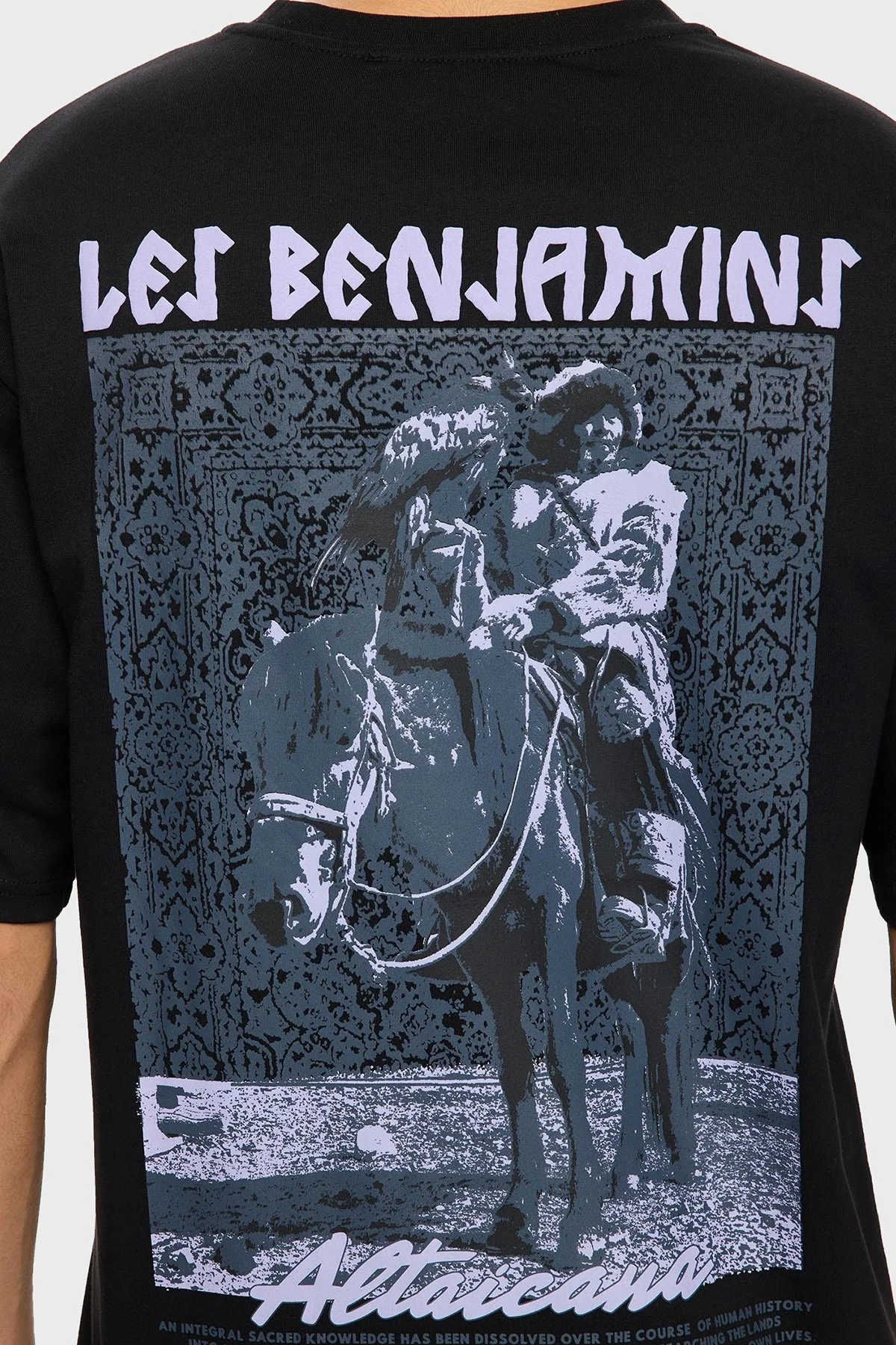 Les Benjamins Sırt Baskılı Pamuklu Relaxed Fit Bisiklet Yaka Erkek T Shirt LB25FWTURMUTS-004 SİYAH - 4
