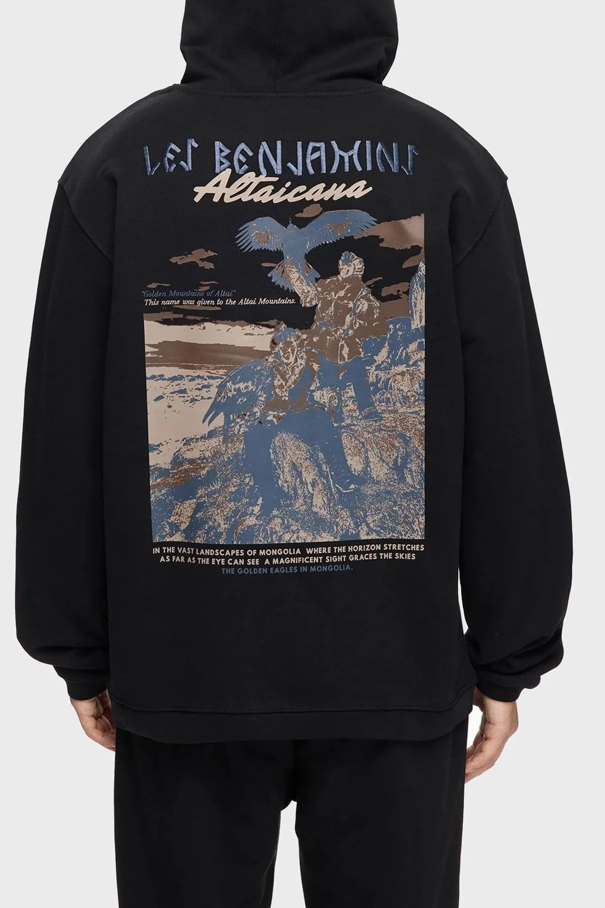 Les Benjamins Sırt Baskılı Pamuklu Relaxed Fit Kapüşonlu Erkek Sweat LB25FWTURMUHD-003 SİYAH - 3