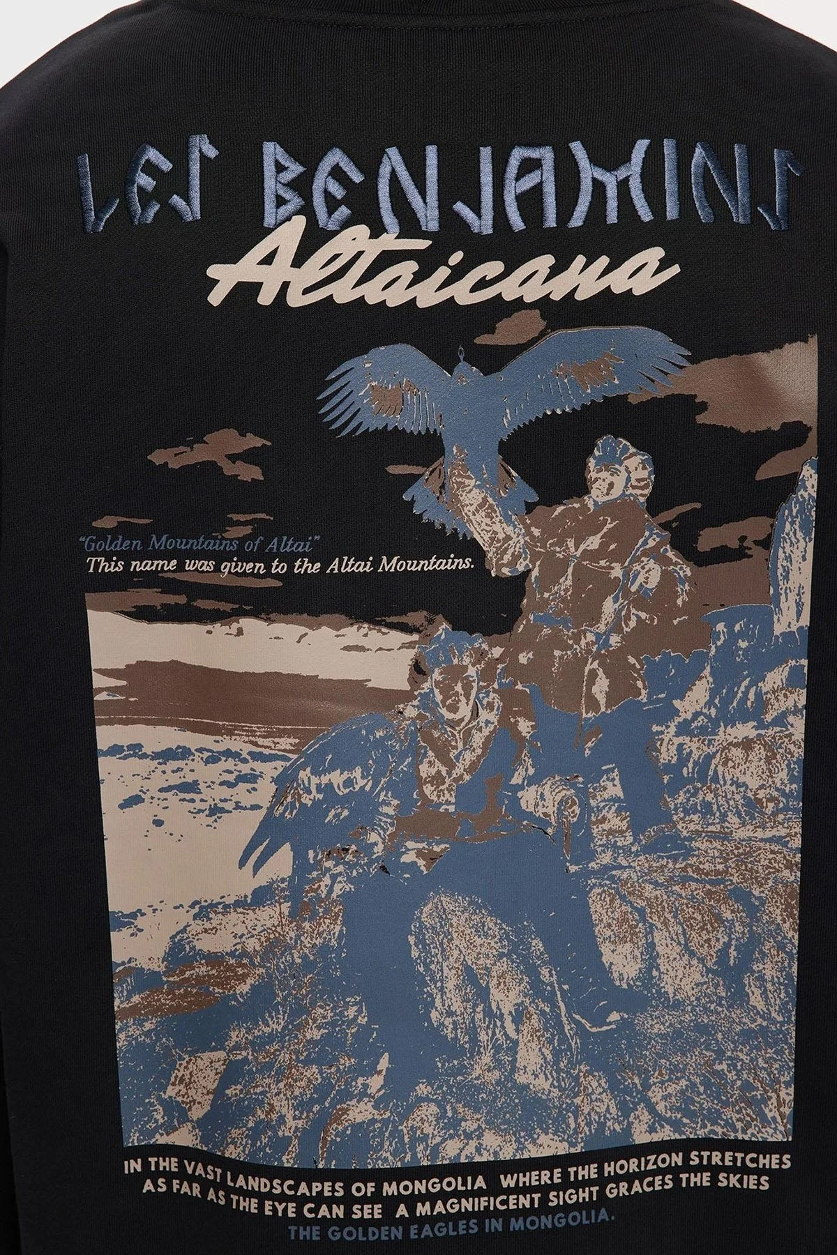 Les Benjamins Sırt Baskılı Pamuklu Relaxed Fit Kapüşonlu Erkek Sweat LB25FWTURMUHD-003 SİYAH - 6