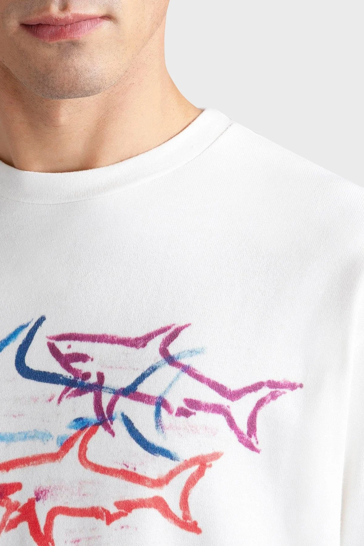 Paul & Shark Baskılı Pamuklu Regular Fit Bisiklet Yaka Erkek T Shirt 24411115 490 BEYAZ - 2