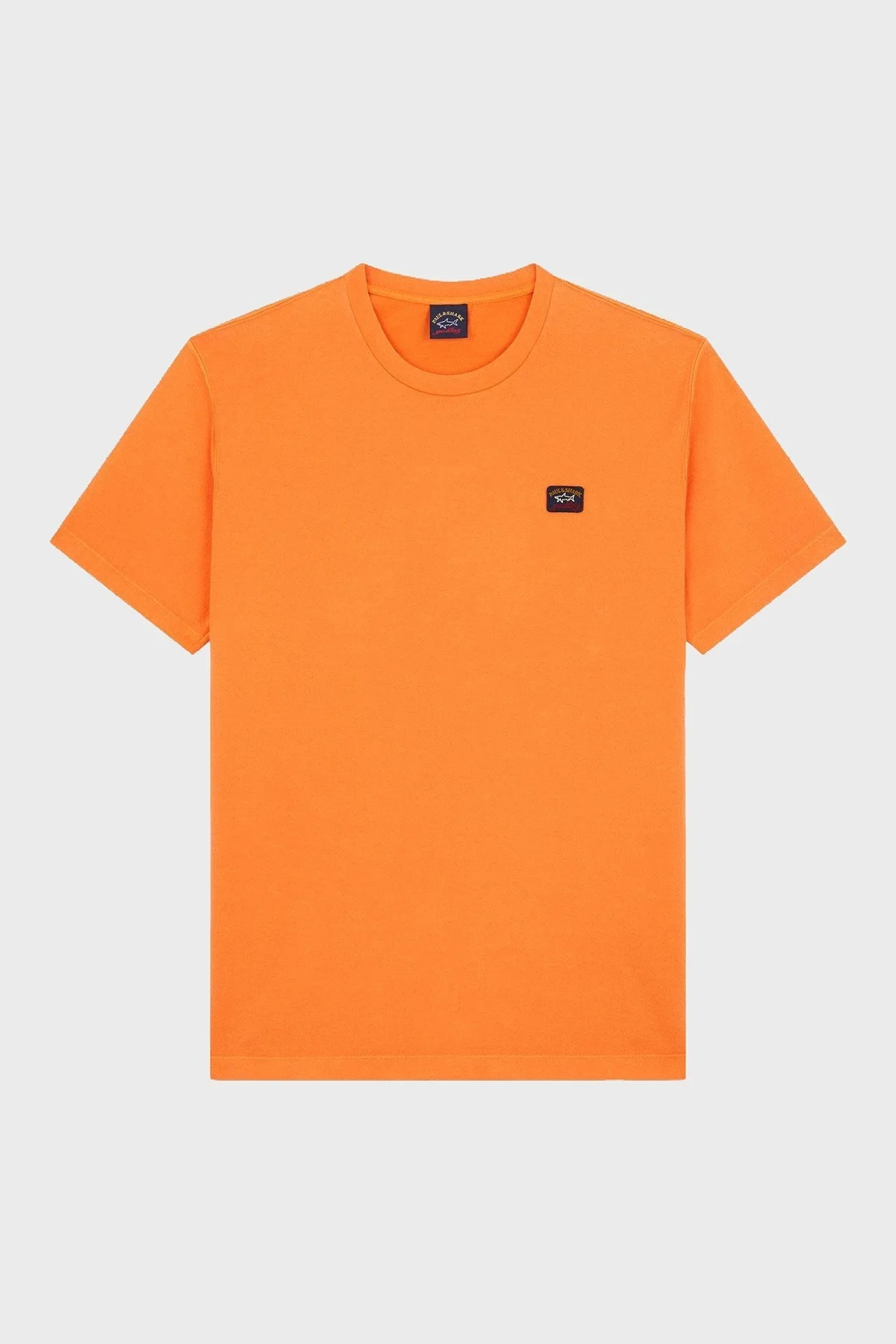 Paul & Shark Bisiklet Yaka % 100 Pamuk Regular Fit Erkek T Shirt 23411052 139 TURKUAZ - 4