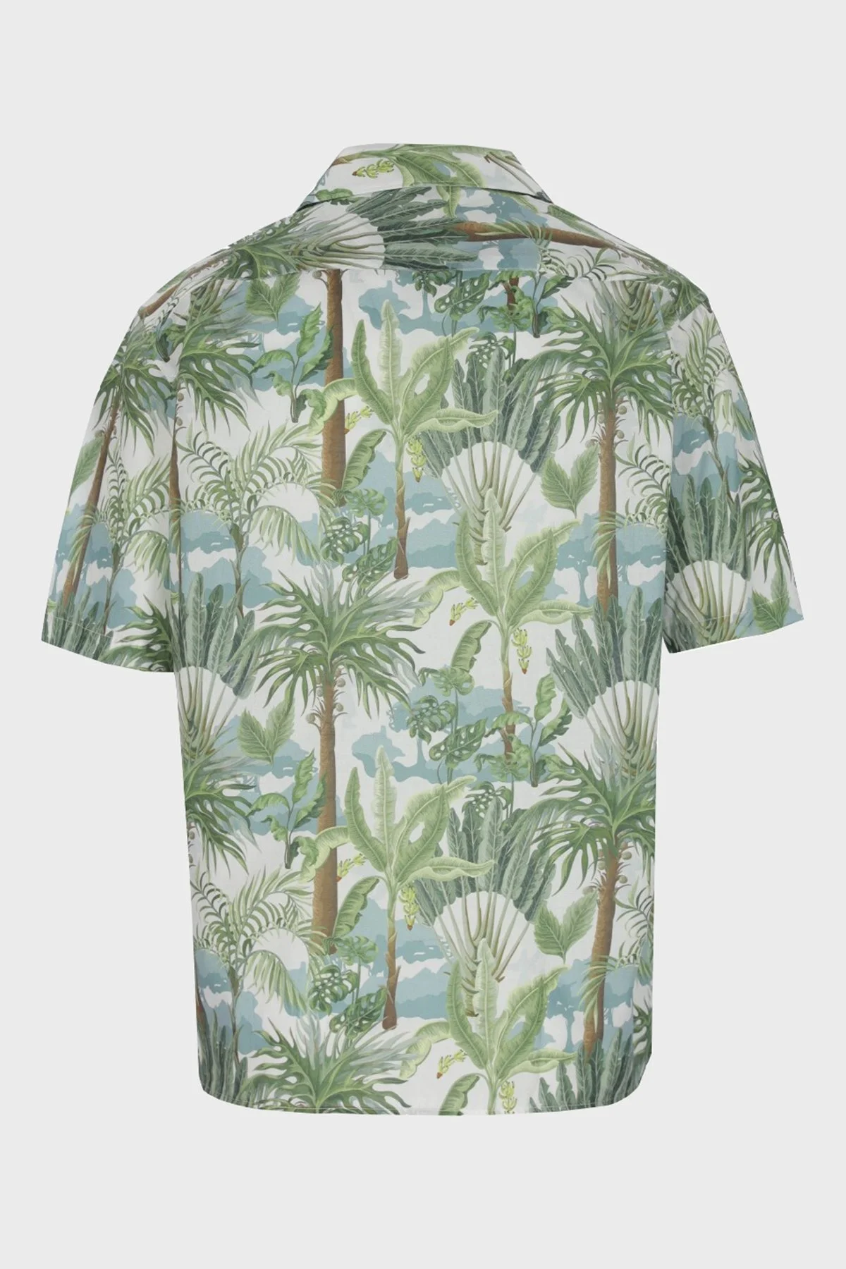 Ruck & Maul Desenli Kısa Kollu Apaş Yaka Regular Fit Erkek Gömlek RMM02DS00004 23512 YEŞİL-MAVİ - 5