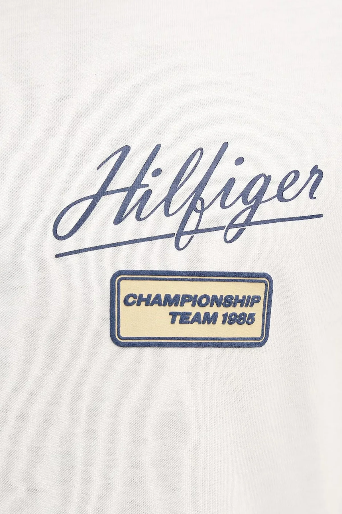 Tommy Hilfiger Logolu % 100 Pamuk Regular Fit Bisiklet Yaka Erkek T Shirt MW0MW41471 Z00 AÇIK BEJ - 4