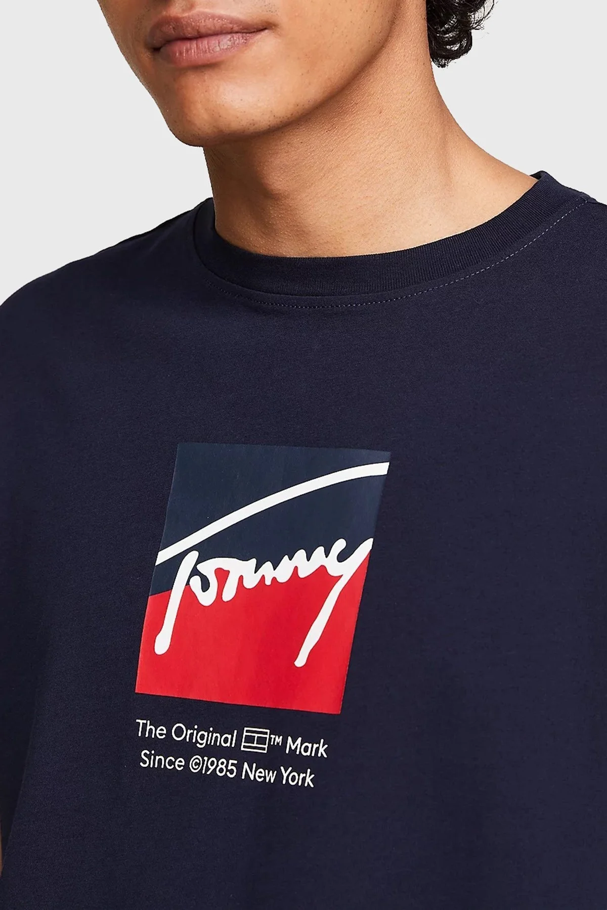 Tommy Jeans Regular Fit Bisiklet Yaka Erkek T Shirt DM0DM18524 C1G LACİVERT - 2