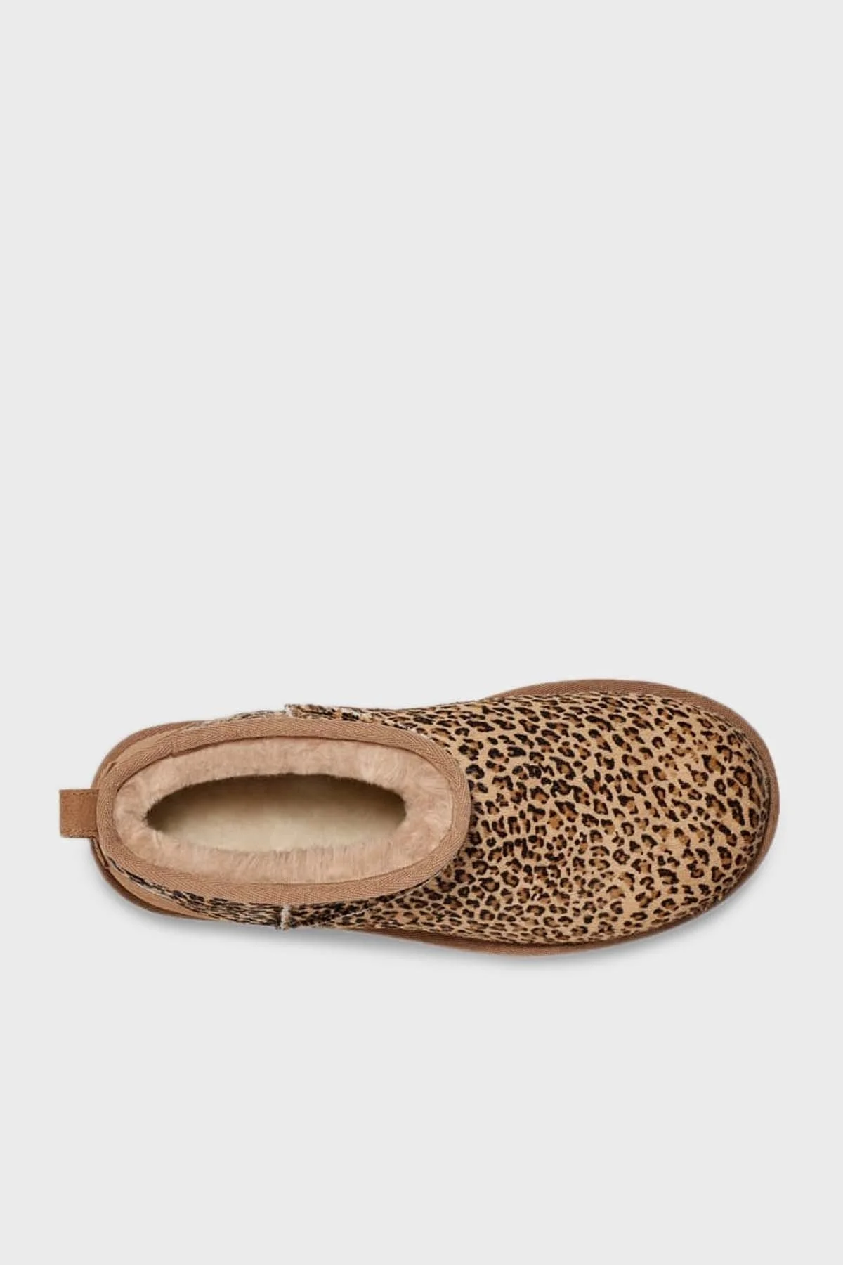 Ugg Leopar Desenli Kalın Astarlı Süet Mini Bayan Bot 1149270 TABA - 5