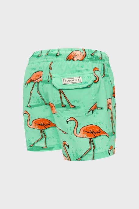 Bluemint Cepli Deniz Şortu Hızlı Kuruyan Çocuk Mayo Short BM24008167BS 1053 MİNT - Bluemint (1)