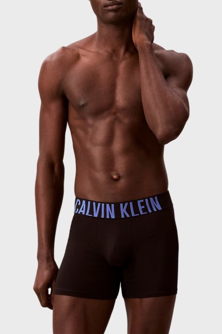 Calvin Klein Pamuklu Logolu 3 Pack 000NB3609AZDM Erkek Boxer 000NB3609A ZDM Siyah-Siyah-Siyah - Calvin Klein (1)